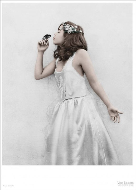 Vee Speers DIV. Kort 15x21